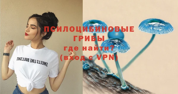 не бодяженный Белокуриха