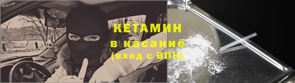 крисы Баксан